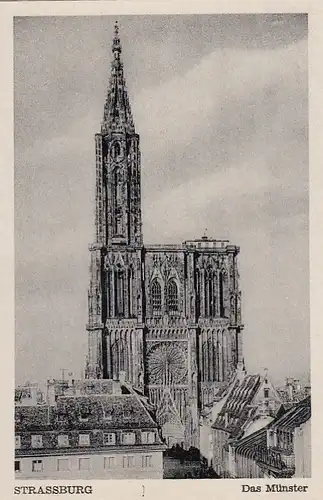 Straßburg, Münster ngl E9028