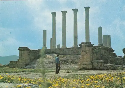 Tunesien, Thuburbo Majus ngl F4482