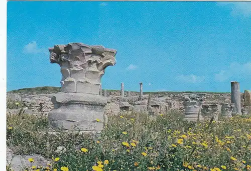 Tunesien, Carthage, Ruines Romaines ngl F4489