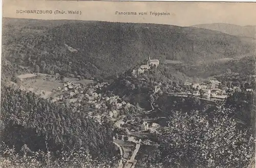 Schwarzburg im Thür.Wald, vom Trippstein gl1923 F2211