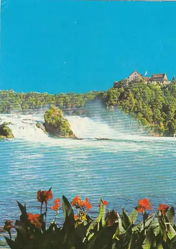 Rheinfall mit Schloß Laufen ngl F3773