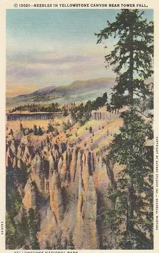 Yellowstone Nat.Park, Needles in Yellowstone Canyon ngl E8670