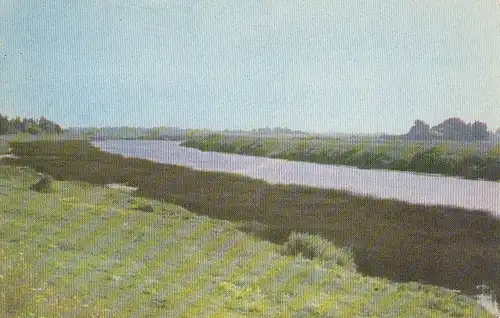 Latvijas PSR, Lielupe,pie Emburgas ngl F0618