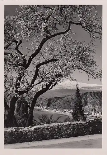 Taormina, L'Etna e madorlo fiorita ngl F2459