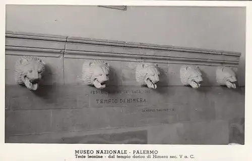 Palermo, Museo Nazionale, Teste Leonine ngl F2464