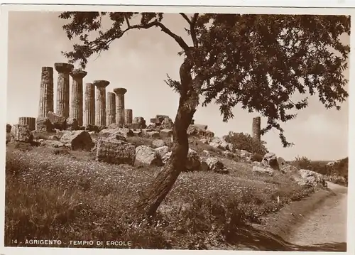 Agrigento, Tempio di Ercole ngl F1540