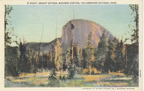 Yellowstone Nat.Park, Mount Haynes, Madison Canyon ngl E8745