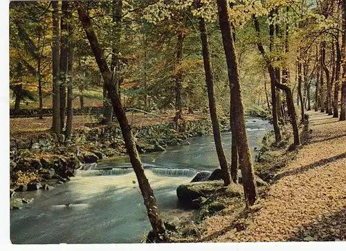 Wildbad Schwarzwald, In den Enz-Anlagen ngl F1207