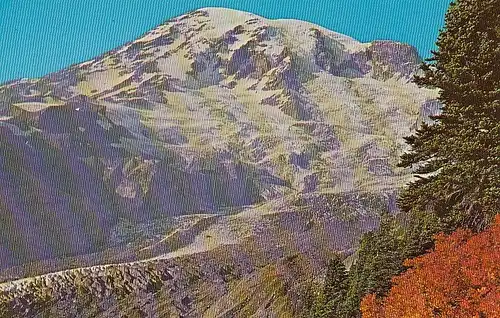 Mont Rainier and Nisqually Glacier ngl F1761