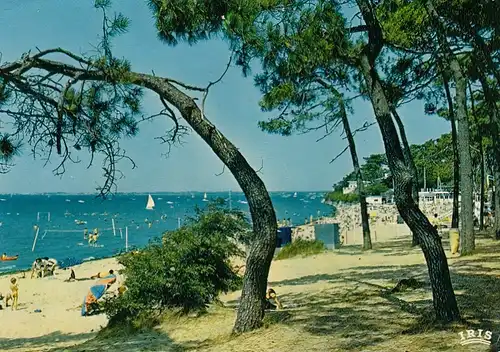 Ronce-les-Bains (Charente-Maritimes) La Plage de la Cèpe gl1979 F4387