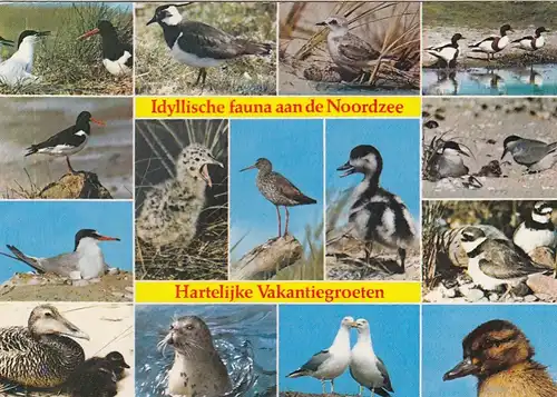 Noordzee - Hartelijke Vakantiegroeten gl1981? F5314