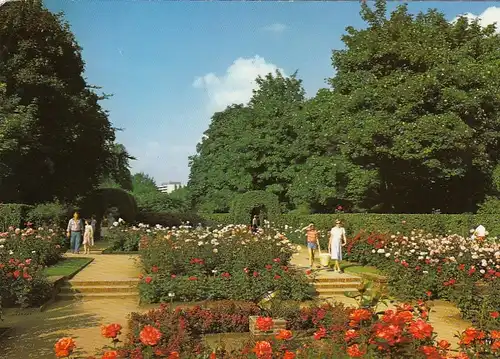 Brockenbahn (Harz) am Eckerloch gl1982? F3111