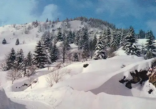 Paysage givré (Vosges) ngl F4586