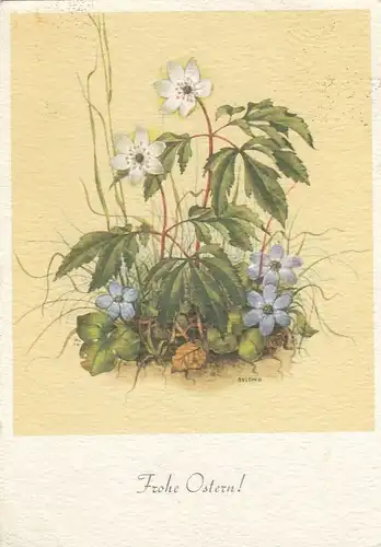 Ostern-Wünsche mit Anemonen und Leberblümchen gl1969 F3181