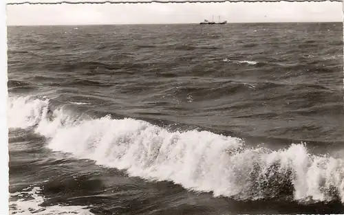 Seestimmung ngl F1480