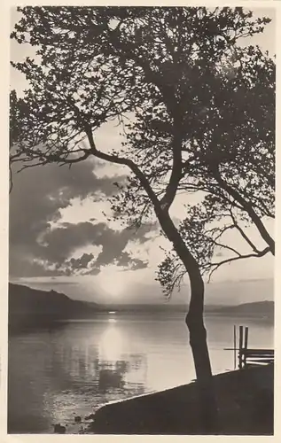 Überlingen am Bodensee, Abendstimmung ngl E9564