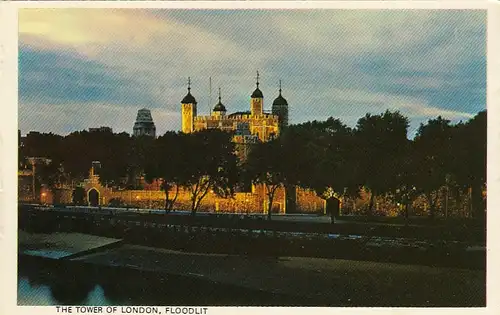 London, The Tower, Flootlit ngl F3302