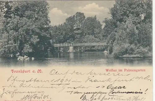 Frankfurt a.M., Weiher im Palmengarten ngl F2144