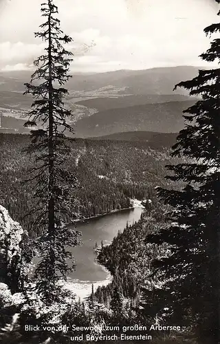 Blick auf den großen Arbersee im Bayerischen Wald glum 1970? F0215