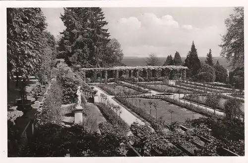 Insel Mainau im Bodensee, Rosengarten ngl F2212