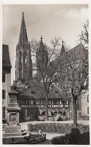 Freiburg i.Breisgau, Münster ngl F0287