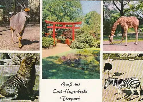 Hamburg-Stellingen, Carl Hagenbeck's Tierpark, Mehrbildkarte ngl F5680
