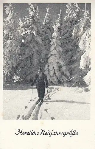 Herzliche Neujahr-Grüße ngl F0318