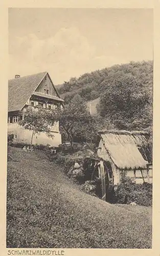 Schwarzwaldidylle, Haus und Hütte gl1914 E9828