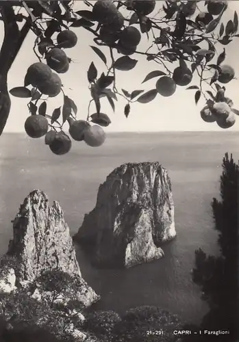 Capri, I Faraglioni ngl F2345