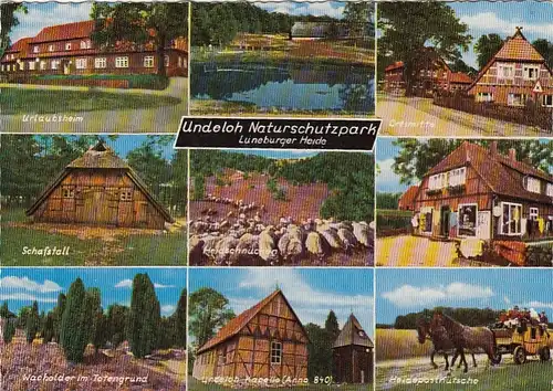 Undeloh, Lüneburger Heide, Naturschutzpark, Mehrbildkarte ngl F5801