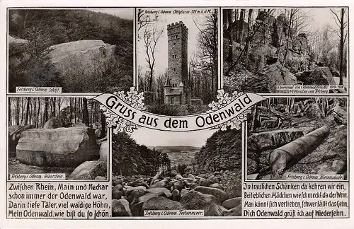 Gruß aus dem Odenwald, Mehrbildkarte gl1959 F0393