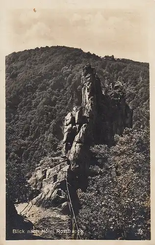 Bodetal im Harz, Blick nach Hotel Roßtrappe ngl F0544