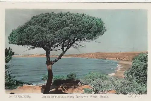 Tarragona, Una de las playas ngl F1977