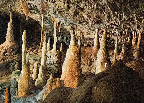 Erpfingen, Schwäb.Alb, Bärenhöhle, Karlshöhle ngl F0697