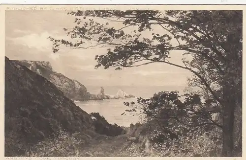 Ansteys Cove, Torquai ngl F3979