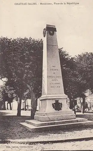 Chateau-Salins, Monument, Place de la République ngl F0444