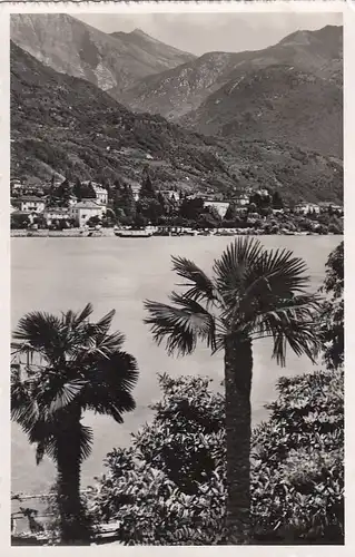 Locarno, Lago Maggiore, Panorama ngl F2351