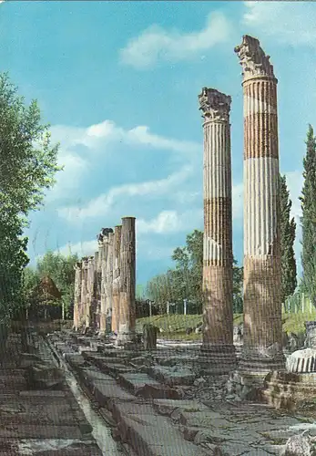 Aquileia, Le colonne del portico di levante del Foro glum 1960? F4124