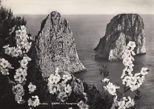 Capri, I Faraglioni ngl F2346
