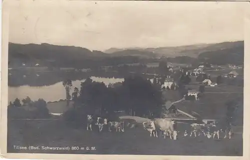 Titisee, Schwarzwald, Panorama gl1926 F3077