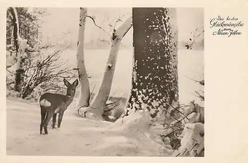 Neujahr-Wünsche aus Winterwald gl1954 F0314