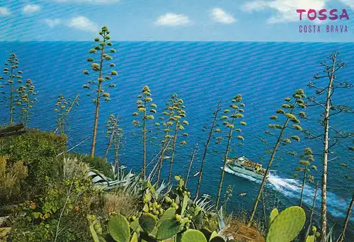 Costa Brava, Tossa de Mar ngl F2418