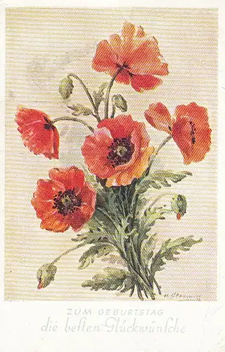 Geburtstag-Wünsche mit Mohnblumen gl1951 F0331