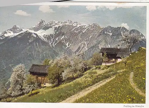 Frühling im Montafon, Vorarlberg, ngl F4247