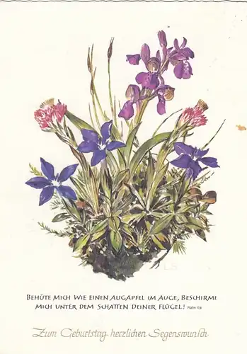 Geburtstag-Wünsche mit Blumen gl1962 F3172