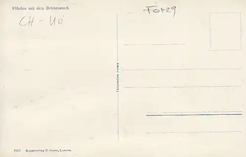 Flüelen am Vierwaldstättersee mit Bristenstock ngl F0429