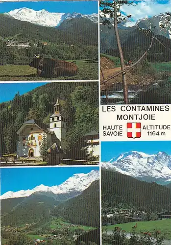 Les Contamines Montjoie gl1995 F4373