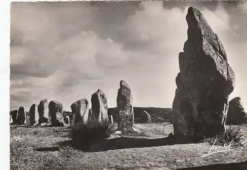 Carnac (Bret.) Alignements de Kermario gl1956 F3630