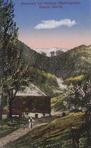 Wormsatal bei Metzerat (Hochvogesen) feldpgl1917 F0615