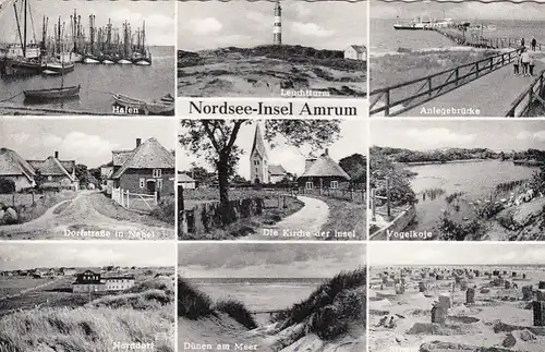 Nordsee-Insel Amrum, Mehrbildkarte gl1959 F6342